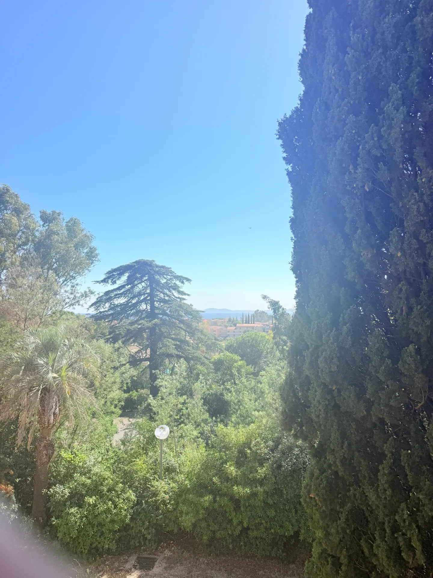 Vue sur la mer Méditerranée depuis le lot 1.04, parc arboré, cèdre et cyprès au premier plan