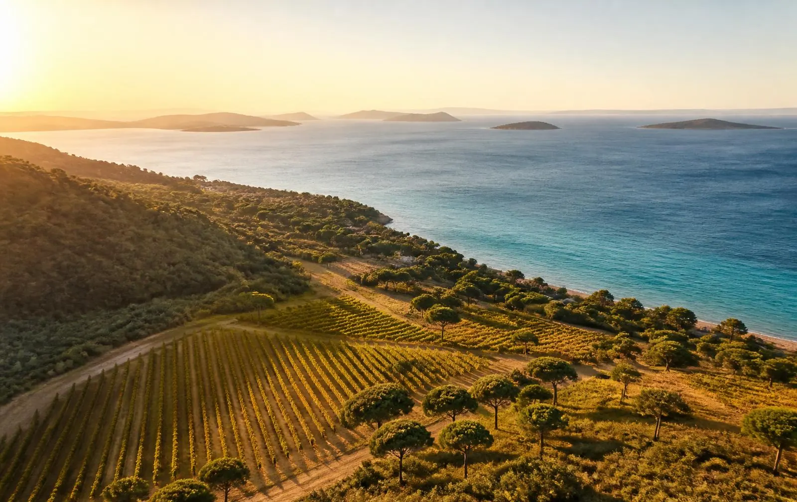 Le littoral de La Londe-les-Maures et les îles d'Or vus du ciel