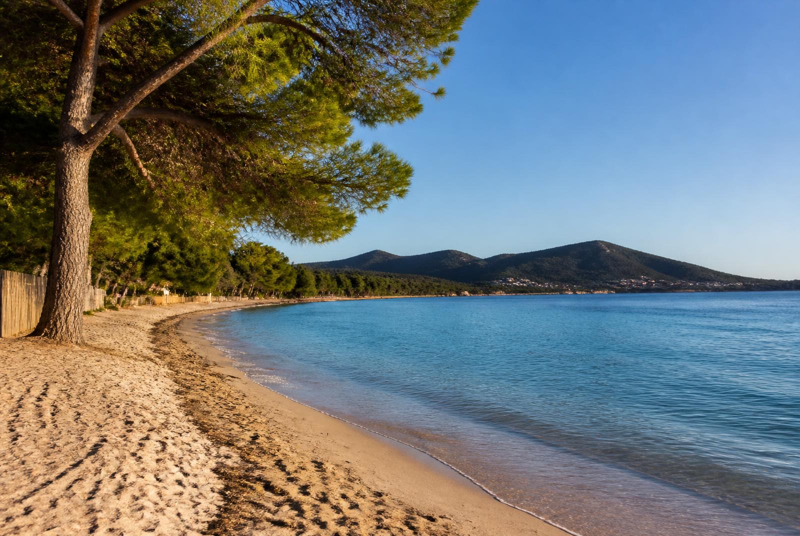 Plage de l'Argentière à La Londe-les-Maures, sable fin bordé de pins parasols