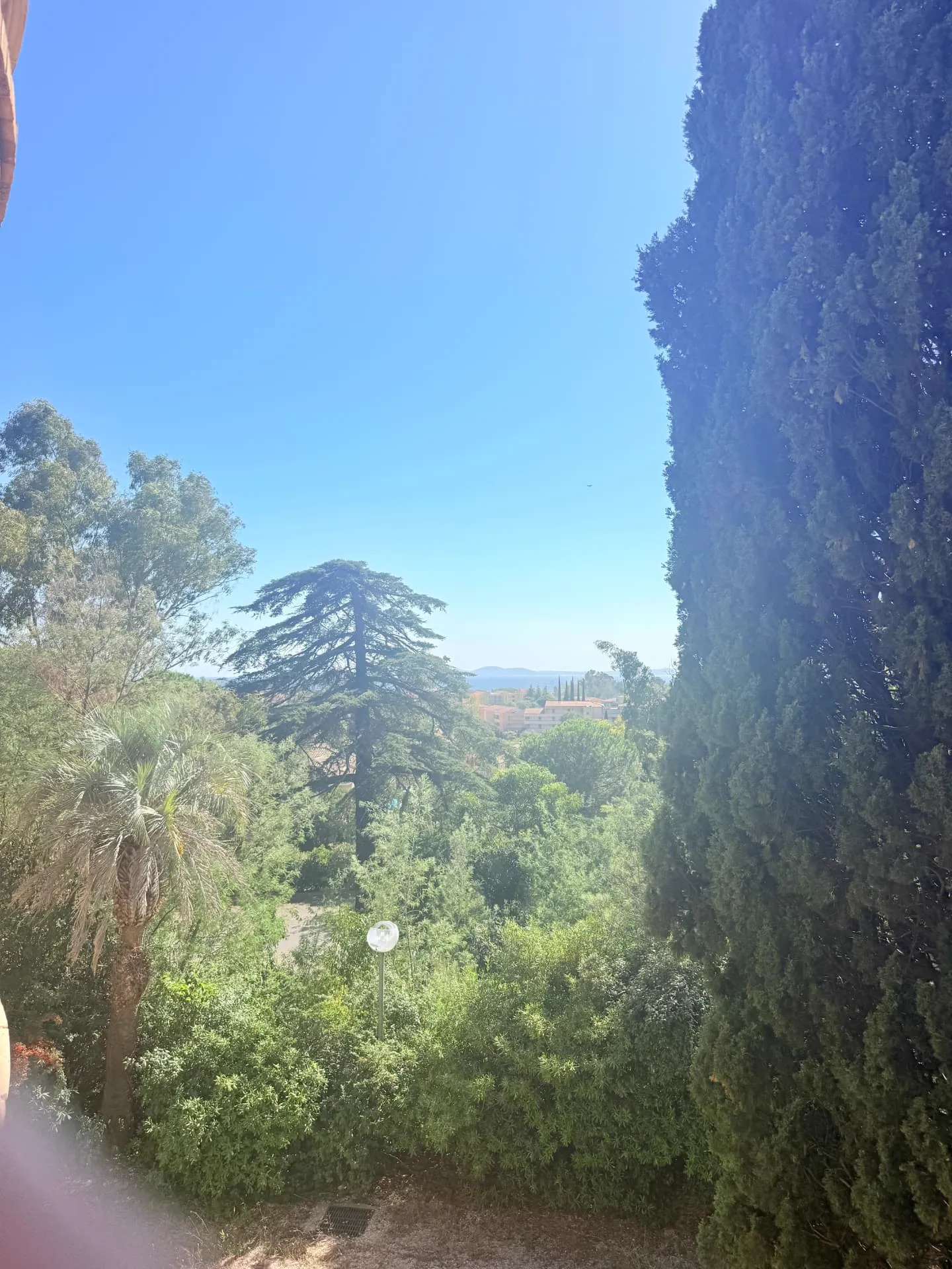 Vue mer depuis le lot 1.04 du château des Bormettes, palmiers et pins du parc