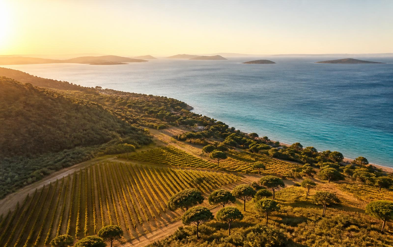 Le littoral de La Londe-les-Maures et les îles d'Or vus du ciel